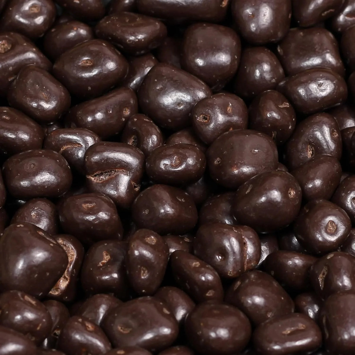 Dark Chocolate Covered Dried Mango 5 Lbs Bulk Bag T8224