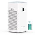 Large Room H13 True HEPA Air Purifier with PM2.5 Monitor G7938