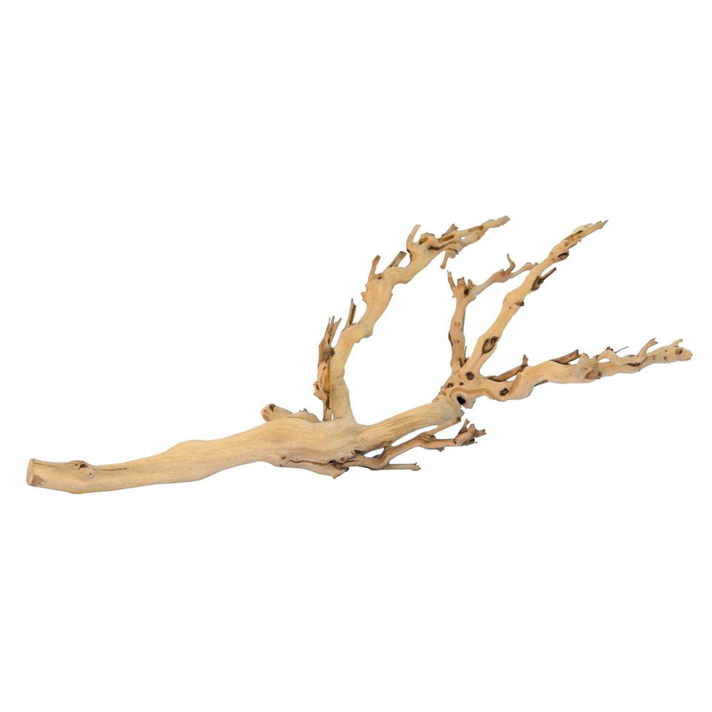Forest Branch W262403