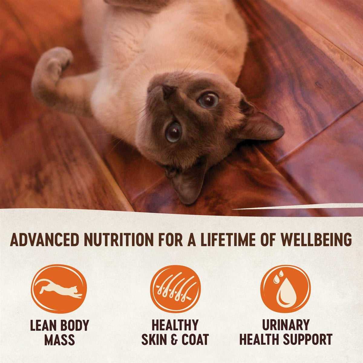 Natural Grain-Free Chicken Turkey & Chicken Liver Pate Canned Cat Food M5805