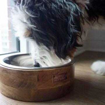 Wood Dog Bowl E3616