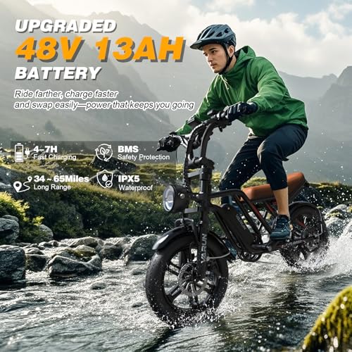 Electric Bike 750W 48V 13Ah Battery 20" Fat Tire F132587