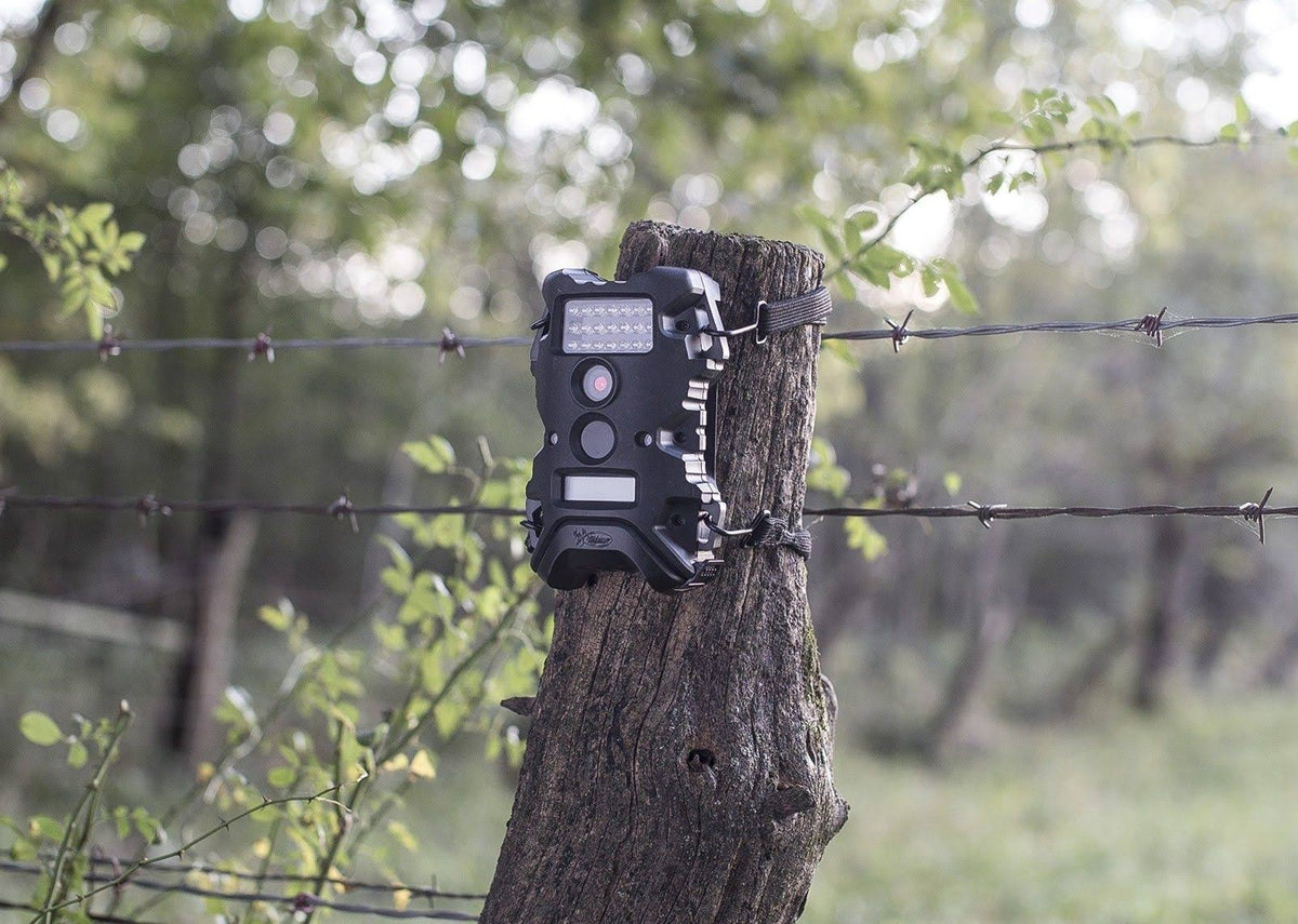 Trail Camera B991