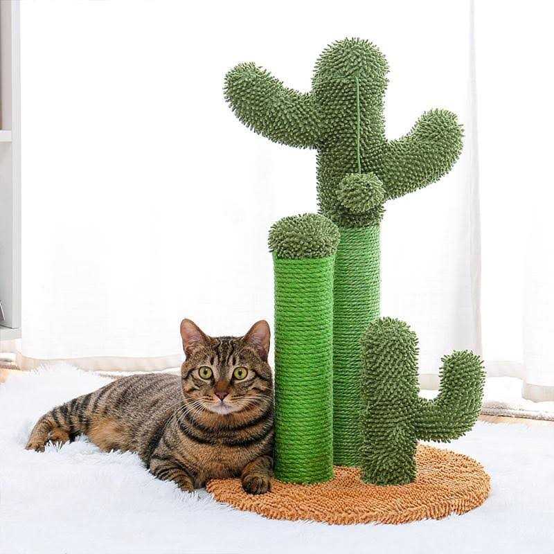 Cactus Cat Scratching Posts Sisal Cat Scratcher X475777
