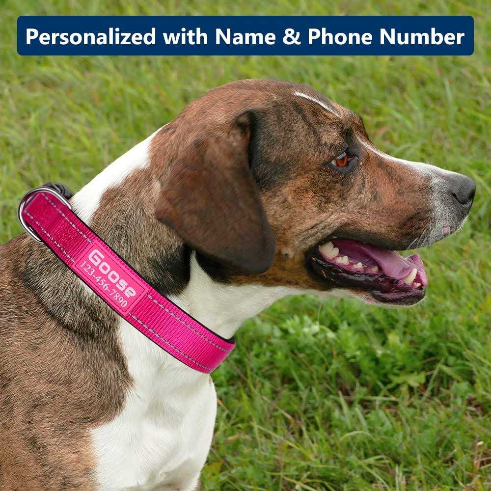 Reflective Nylon Dog Collar P7422