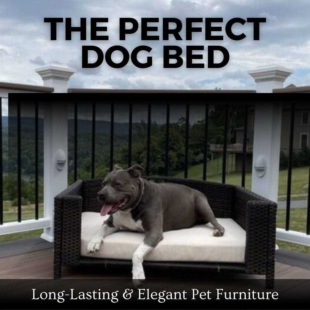 Rattan Rectangular Pet Sofa D553590