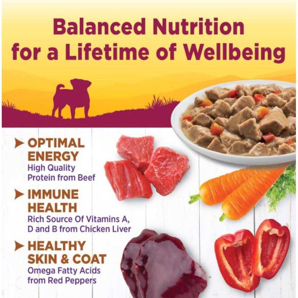 Chicken Dog Food H66433