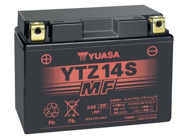 VRLA Battery H25991