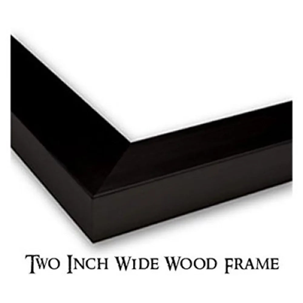 Black Modern Framed Museum Art Print R565