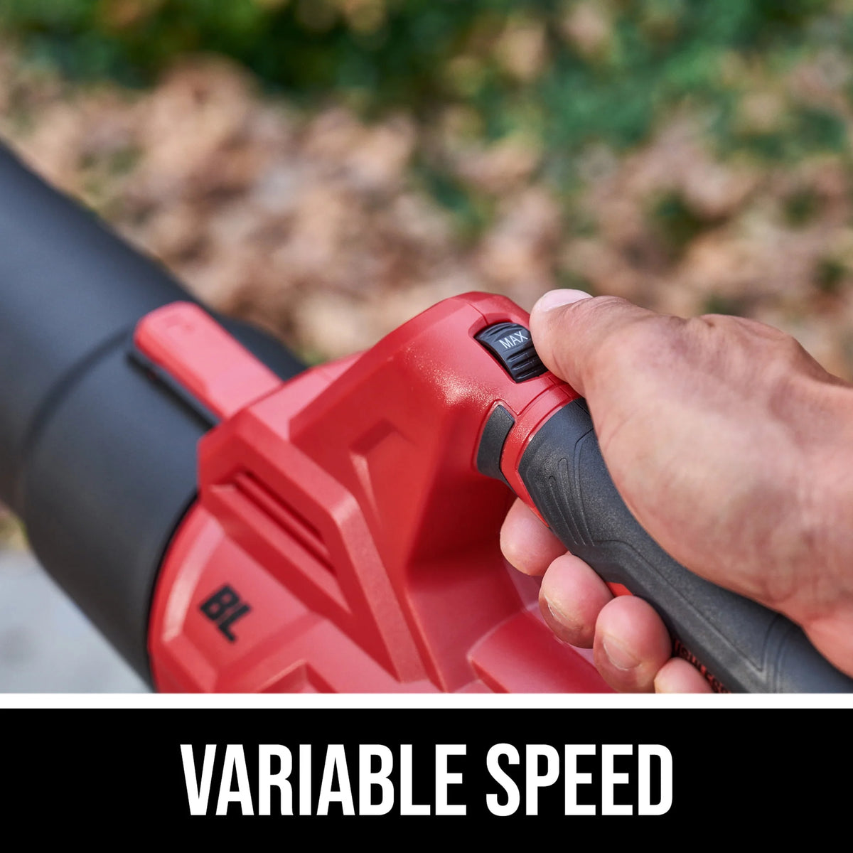 20V Brushless String Trimmer & Leaf Blower Combo Kit R17451