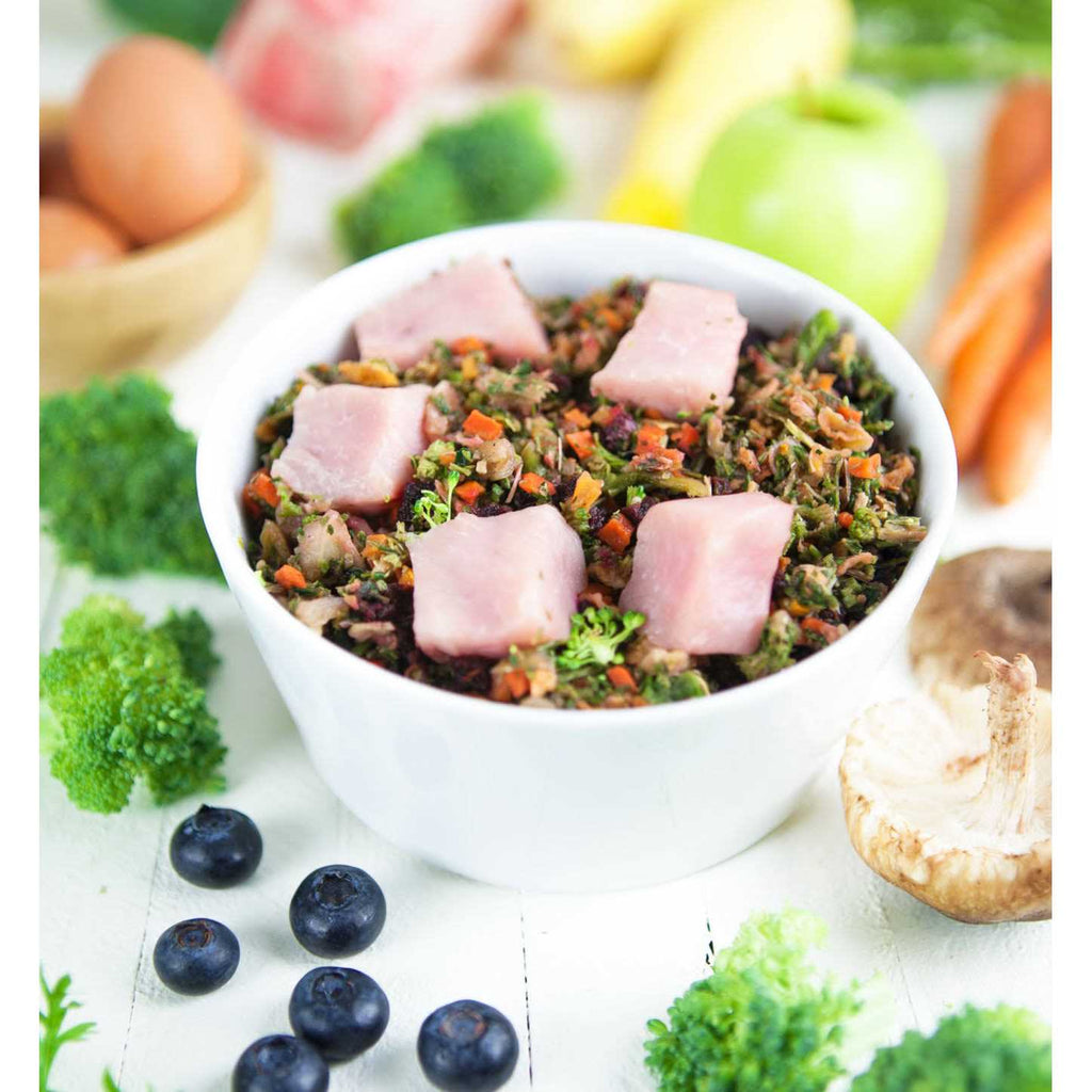 Dog Food Y548754