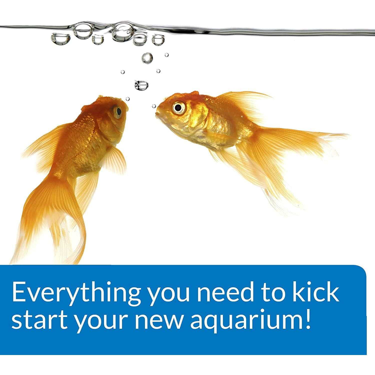 Aquarium Start Up Pack G223598
