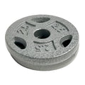 10 lb Standard 1 Weight Plate Set (2.5 lb x 4) N8509