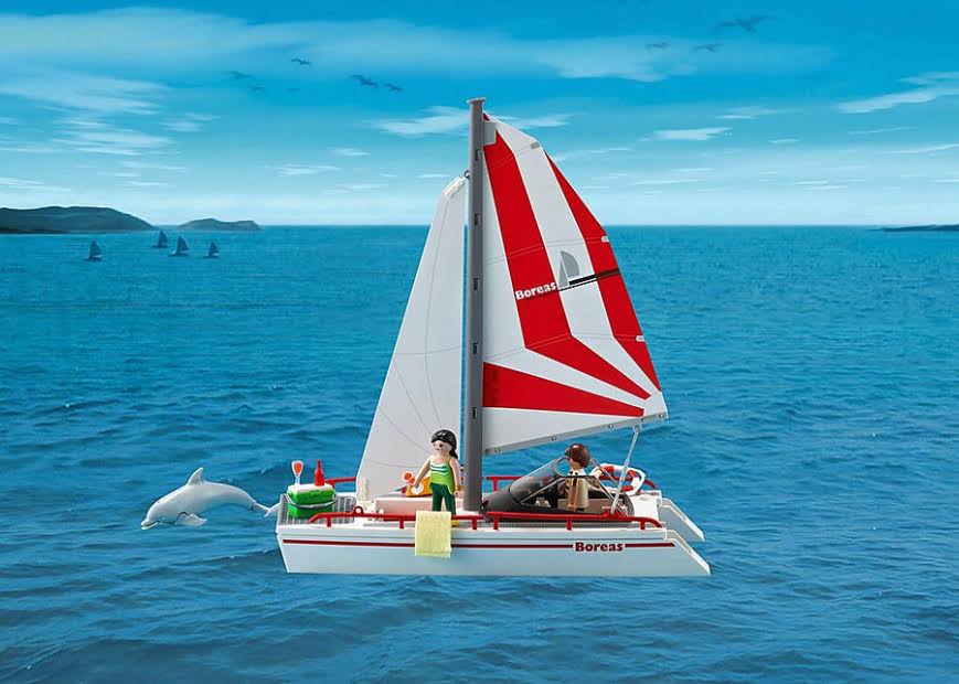 Catamaran with Dolphins G152