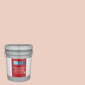 Eggshell Interior Paint 5-Gallon C994879