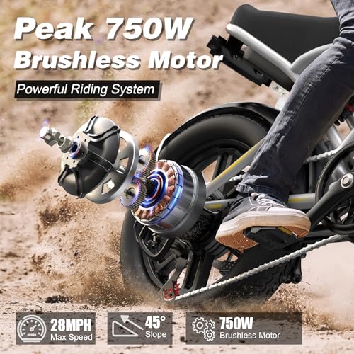 Electric Bike 750W 48V 13Ah Battery 20" Fat Tire F132587