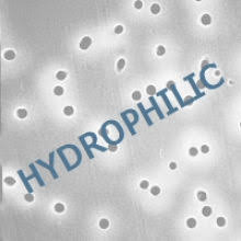 13mm 0.01 Micron Polycarbonate Membrane Filters 100/pk D72525