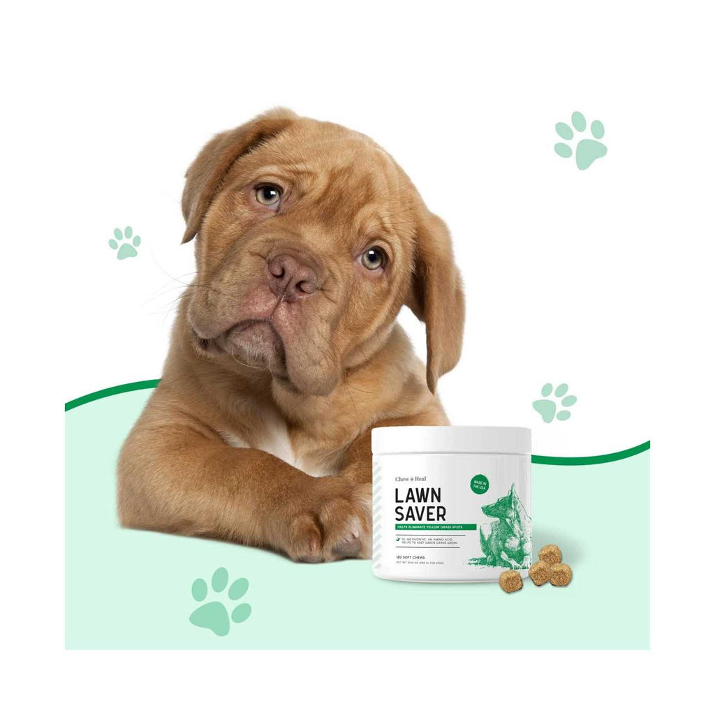 Lawn Saver Pet Supplies I336