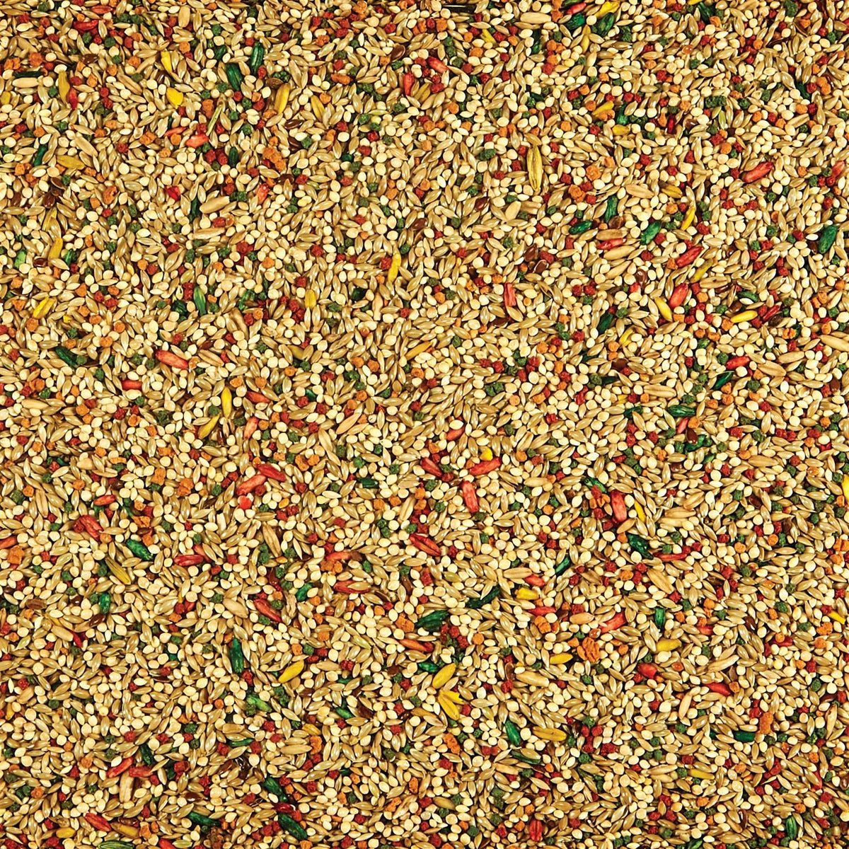 Parakeet Food Y608954