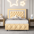 Black Queen Size Upholstered Platform Bed with Tufted Headboard X6271