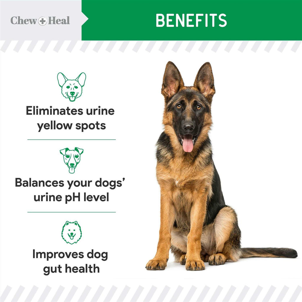 Lawn Saver Pet Supplies I336