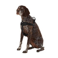 No Pull Dog Harness V921