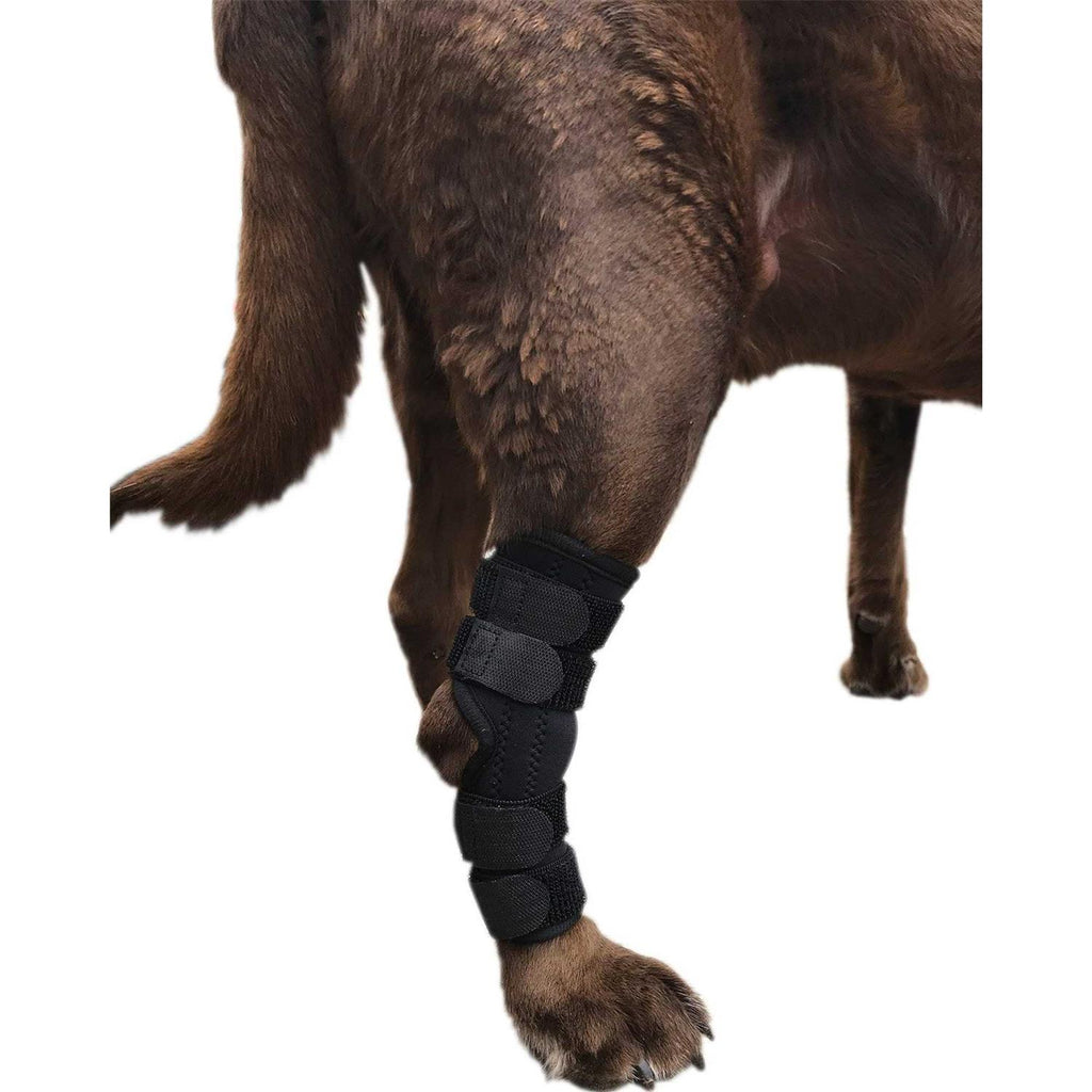 Dog Rear Leg Hock Joint Wrap Brace U4798