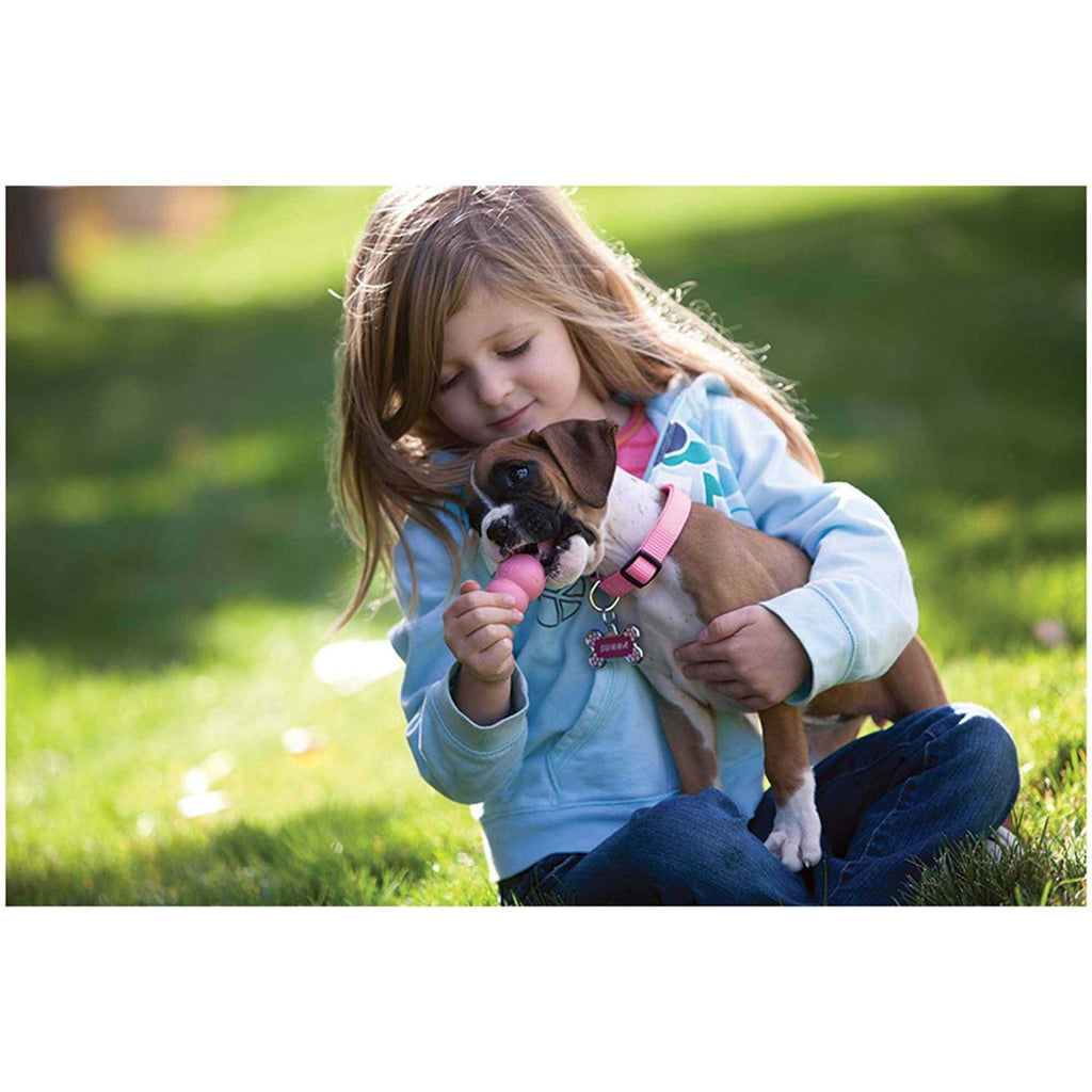 Puppy Toy M3070