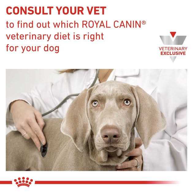 Veterinary Diet Adult Renal Support Early Consult Loaf in Sauce Canned Cat Food F481