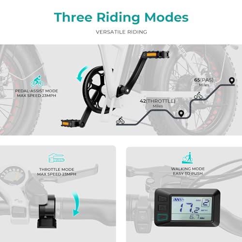 20" Electric Bike with 1000W Peak Motor, 624WH Removable Battery, Folding Fat Tire Bike Z194