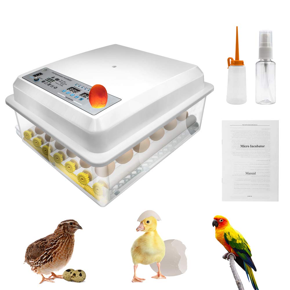 Digital Mini Egg Incubator with Automatic Turner and Egg Candler 16 Eggs B49098