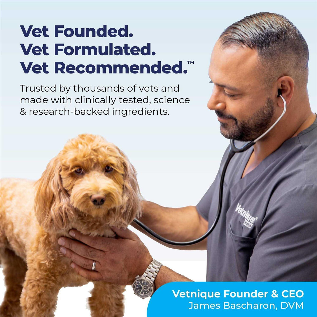 Anal Gland Support Powder for Dogs & Cats Z897