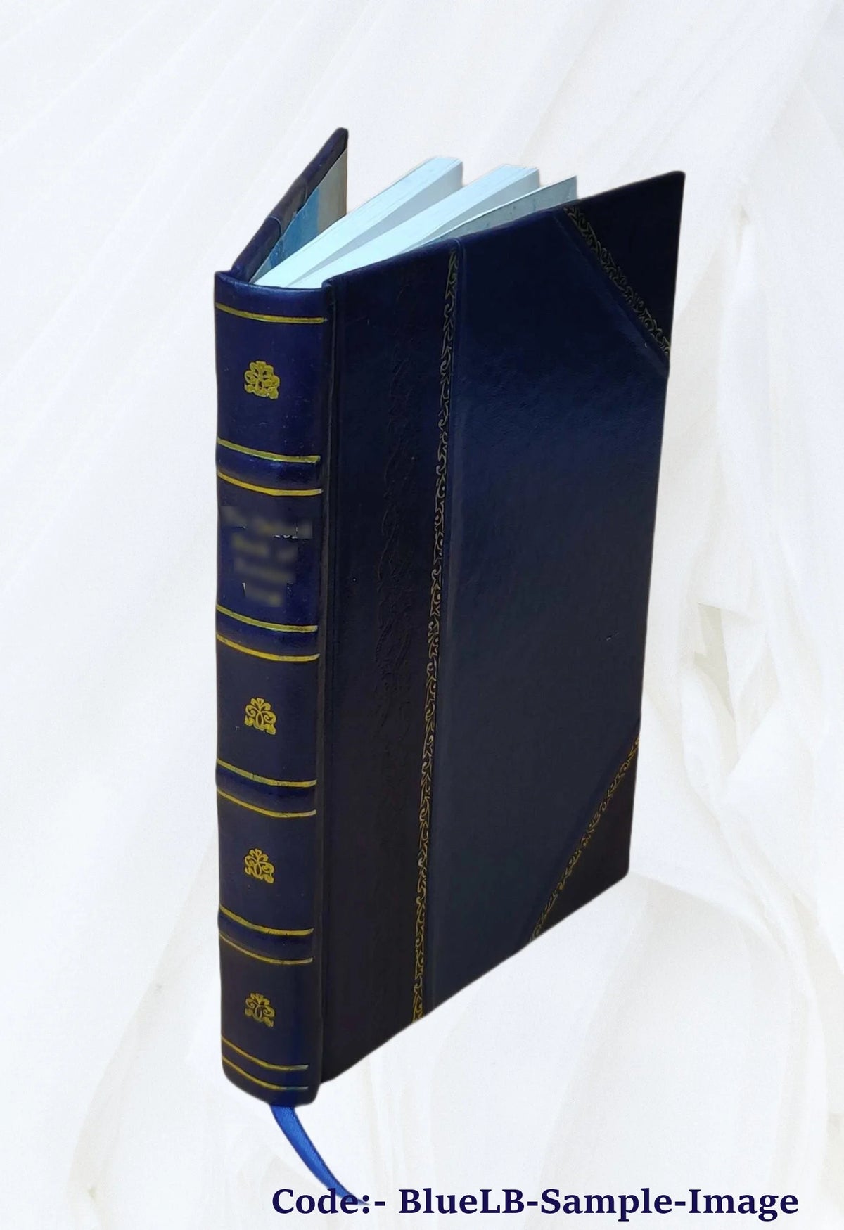 Leather Bound Book C69616