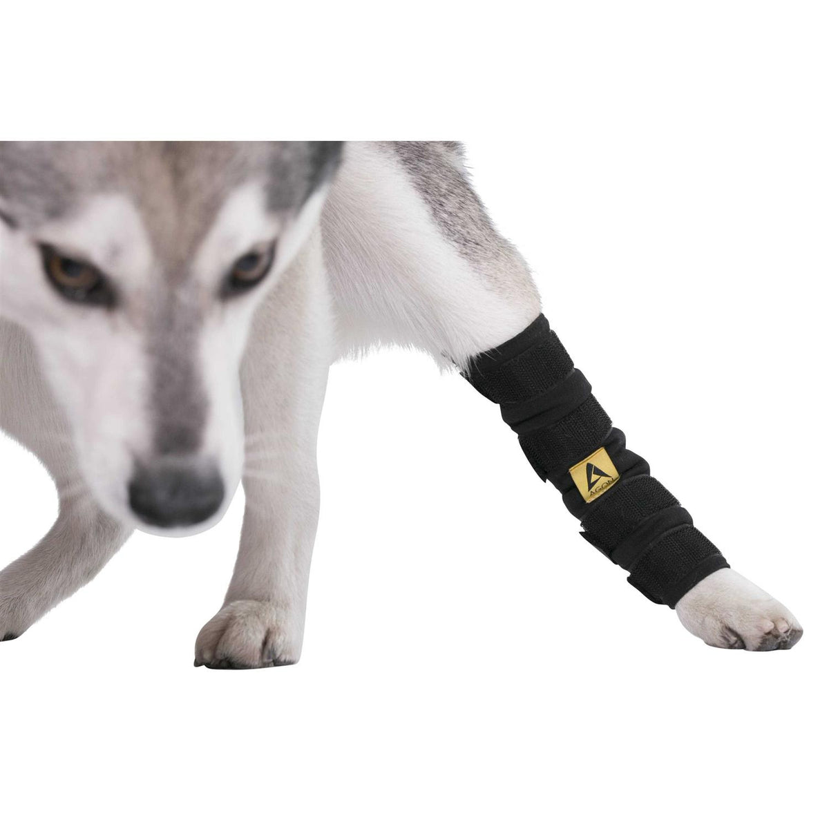 Dog Hock Brace Rear Leg Joint Wrap X4796