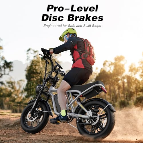 Electric Bike 750W 48V 13Ah Battery 20" Fat Tire F132587