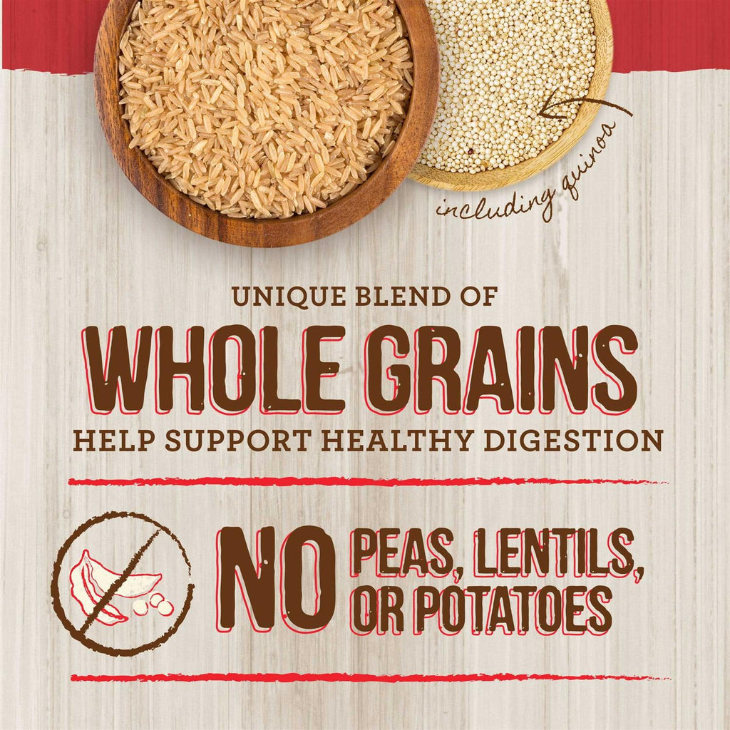 Real Ancient Grains Dry Dog Food C14290