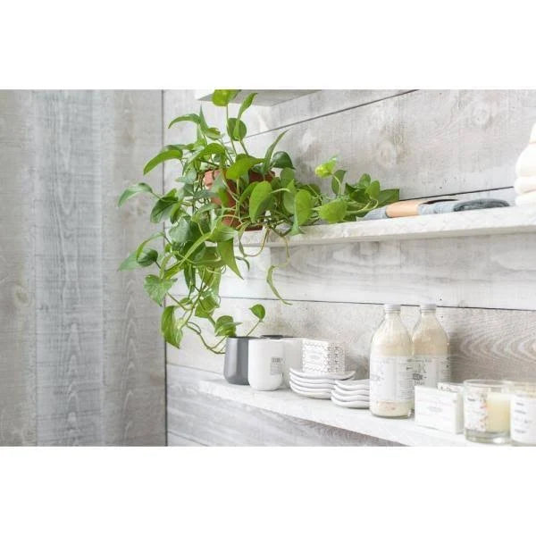 1 in. x 4 in. x 6 ft. Barn Wood Pine Board White Wash (6 per Box) P138