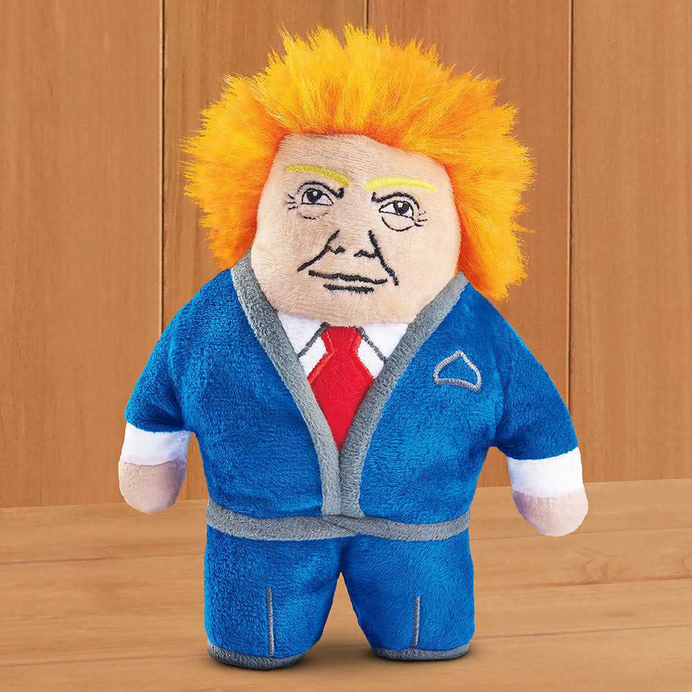 Dog Toy with Squeaker V485612