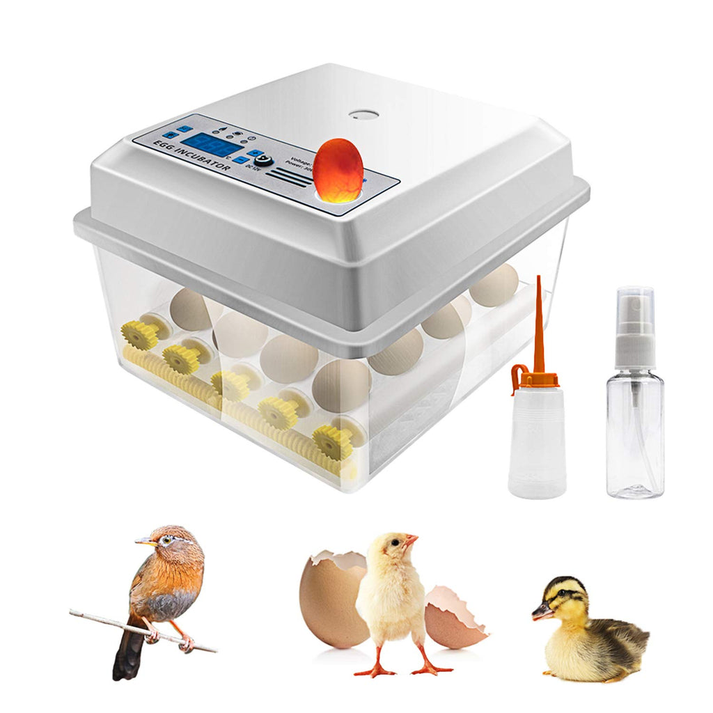Digital Mini Egg Incubator with Automatic Turner and Egg Candler 16 Eggs B49098