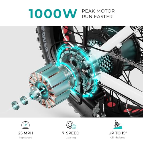 20" Electric Bike with 1000W Peak Motor, 624WH Removable Battery, Folding Fat Tire Bike Z194