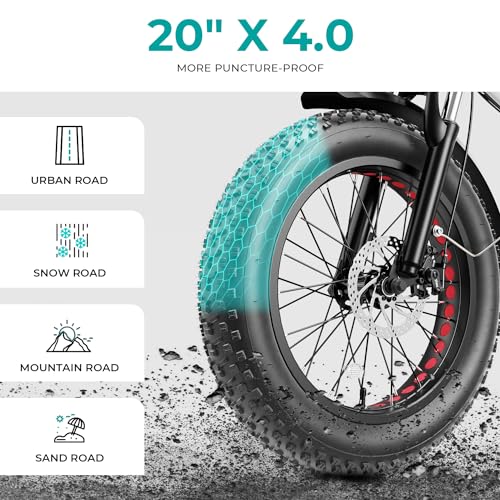 20" Electric Bike with 1000W Peak Motor, 624WH Removable Battery, Folding Fat Tire Bike Z194