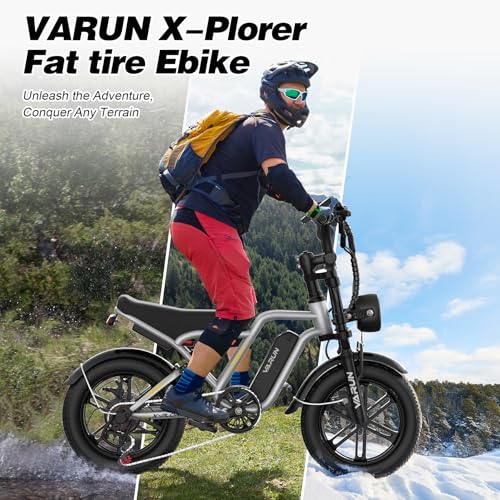 Electric Bike 750W 48V 13Ah Battery 20" Fat Tire F132587