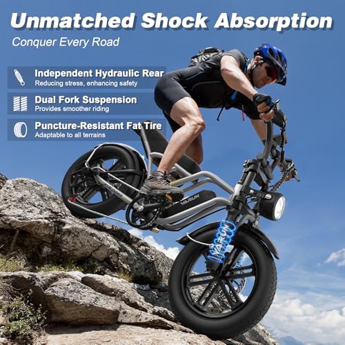 Electric Bike 750W 48V 13Ah Battery 20" Fat Tire F132587