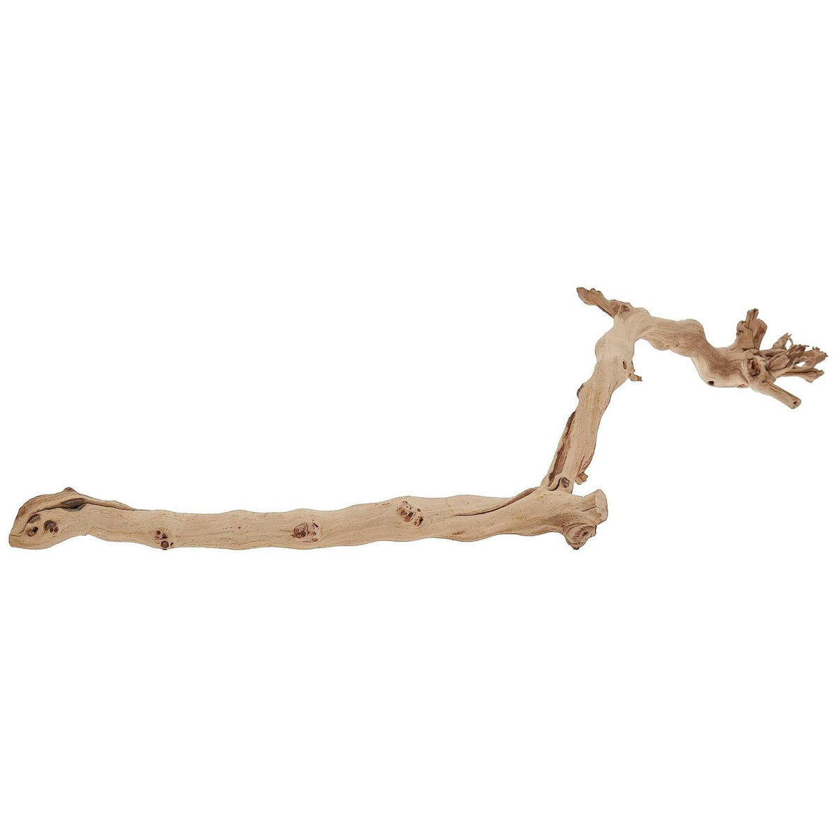 Forest Branch W262403