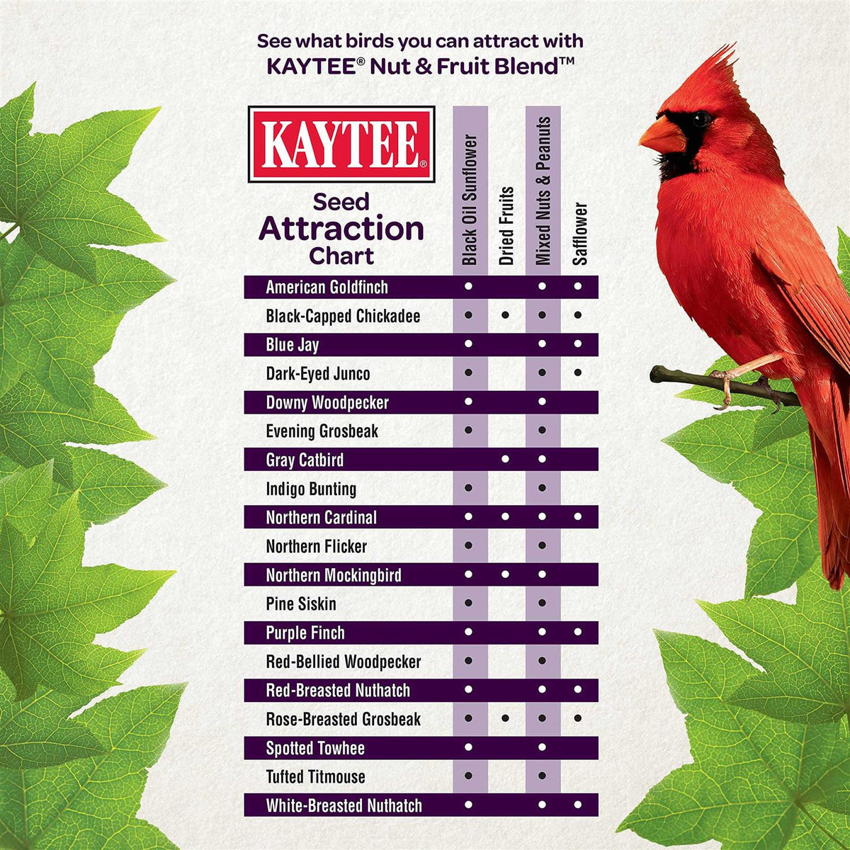 Nut Fruit Blend Wild Bird Food P47771