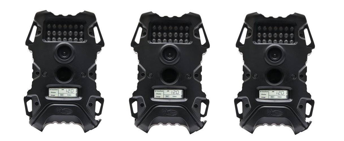 Trail Camera B991