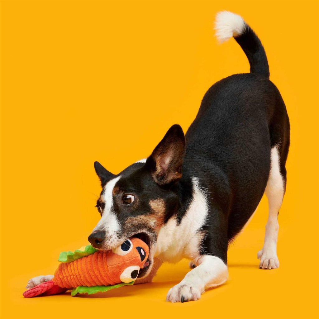 Shrimp Taco Dog Toy W2421