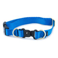 Break-Away Dog Collar V866893