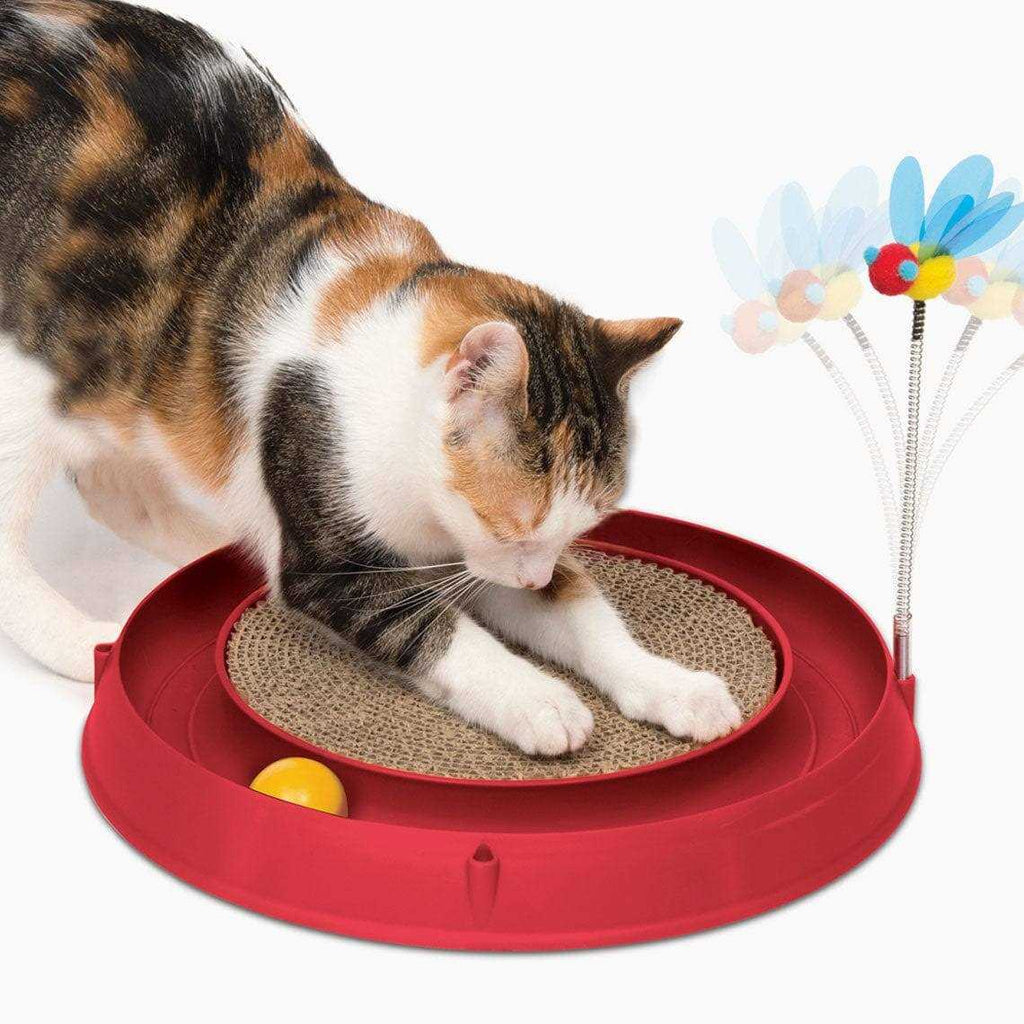 Circuit Ball Toy with Scratch Pad G432562