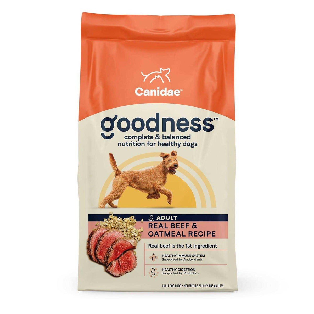 Adult Dry Dog Food Beef and Oatmeal P3474
